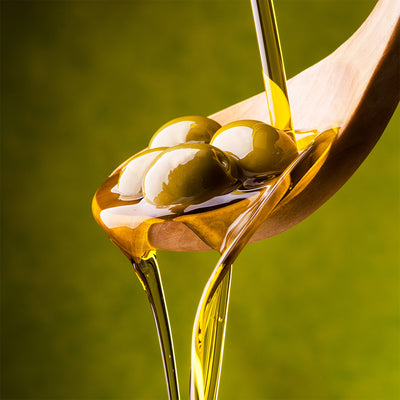 The Science Behind Olive Oil: Quality, Extraction, and Preservation