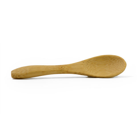 salt spoon on its side with a white background